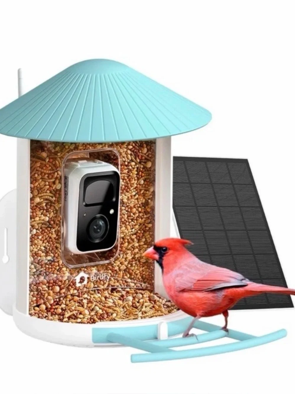 Netvue Birdfy Bird Feeder with Camera, Smart Bird Camera with Solar Panel, AI Id